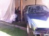 IMG_4271.JPG