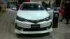 WP_20181108_011.jpg