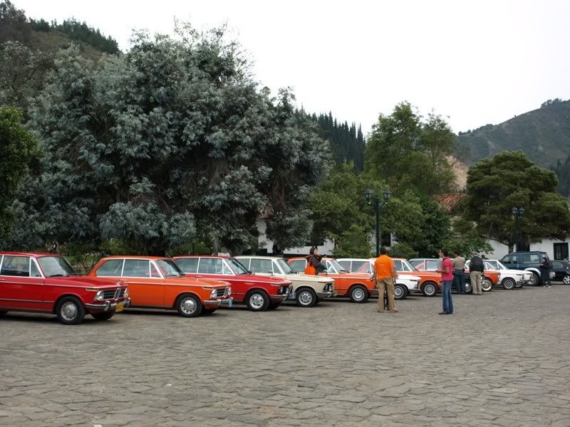 P1177819.jpg
