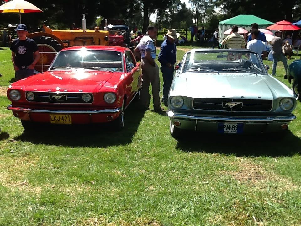 IMG_1061_zps2b7ba4e6.jpg