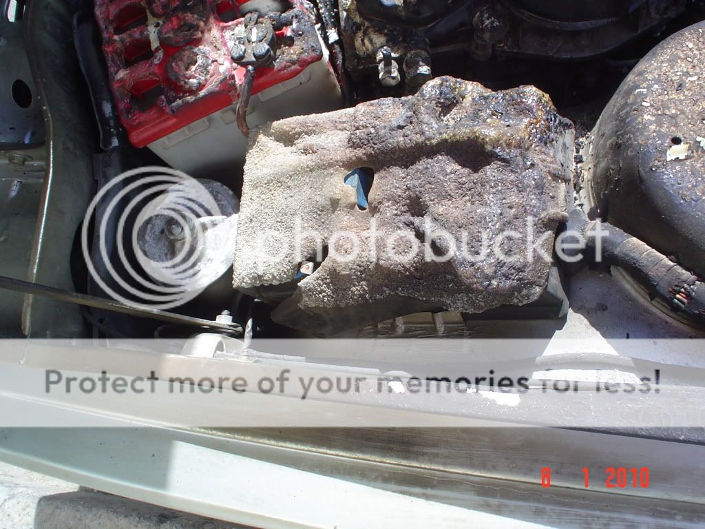 DSC06880.jpg