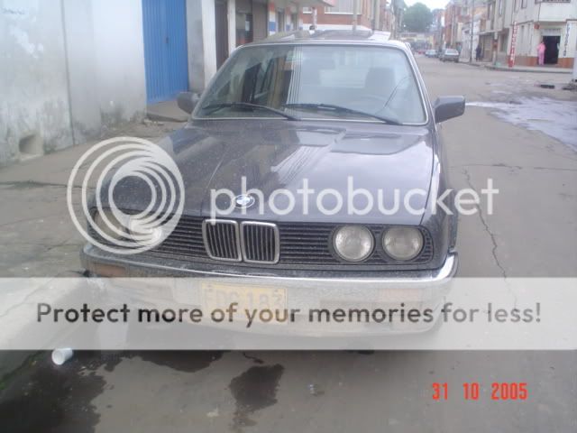 DSC02439.jpg