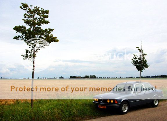 320021.jpg