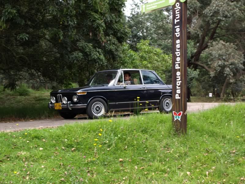 P7111643.jpg