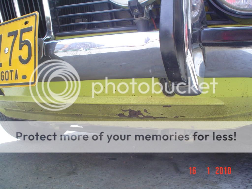 DSC06930.jpg