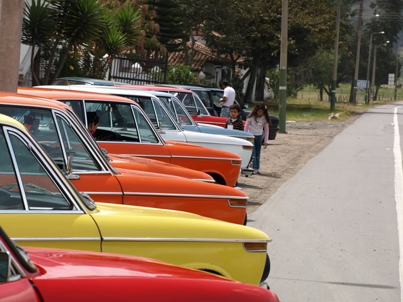 P8162382.jpg