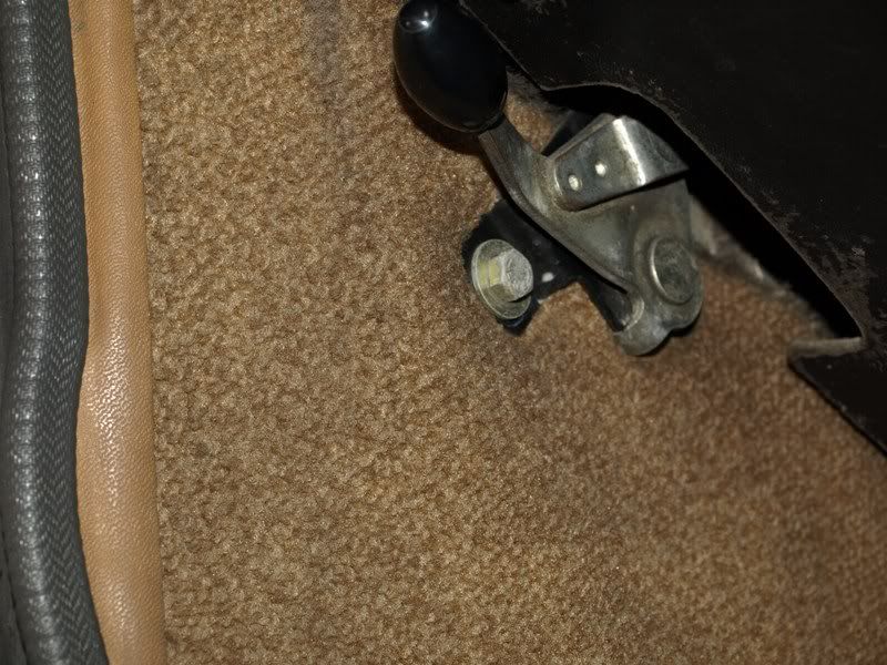 PA256229.jpg