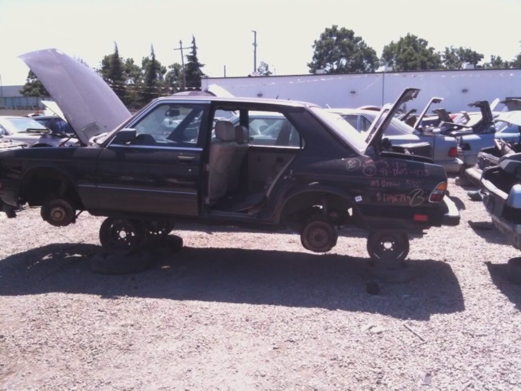 foto2.jpg
