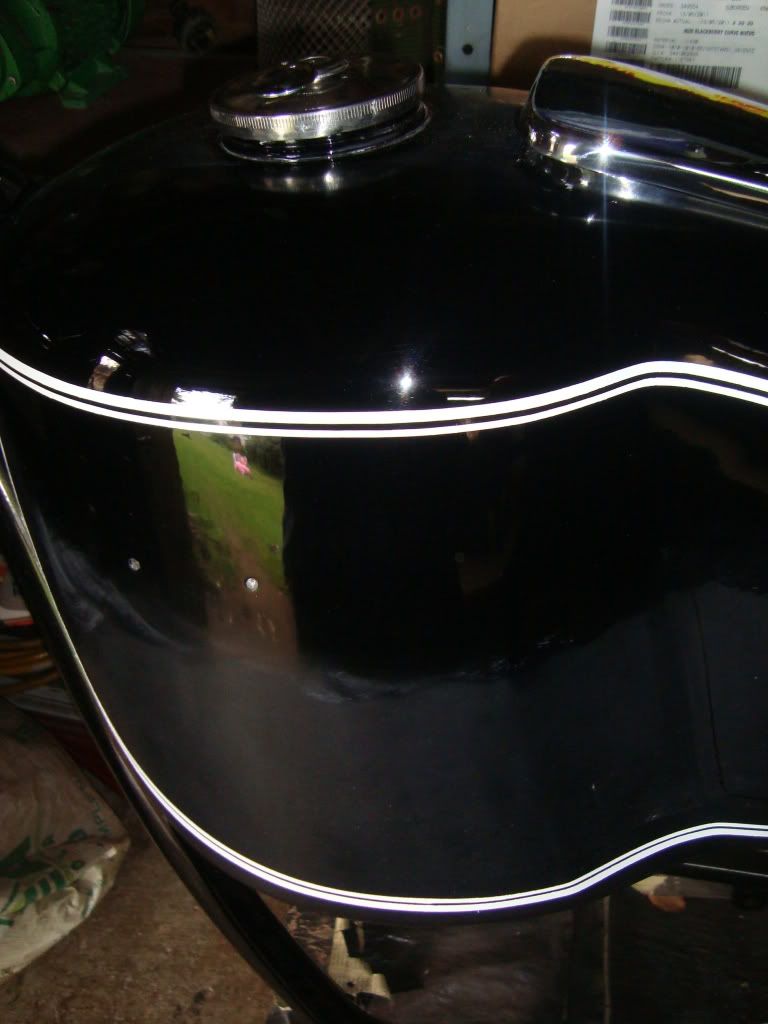 DSC01541.jpg