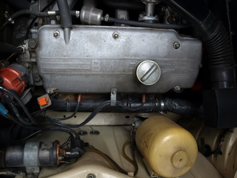 PA256329.jpg