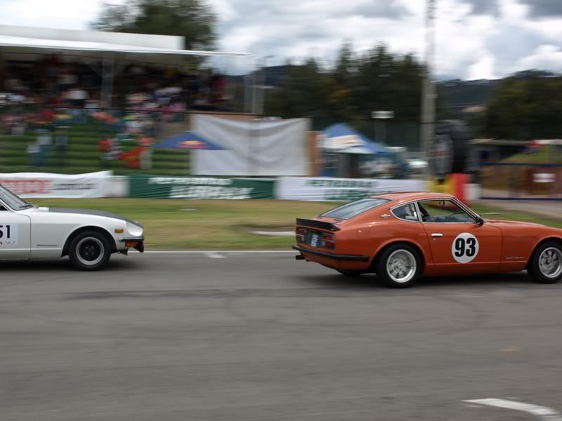 P8232824.jpg