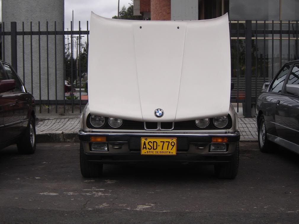 DSC06749.jpg