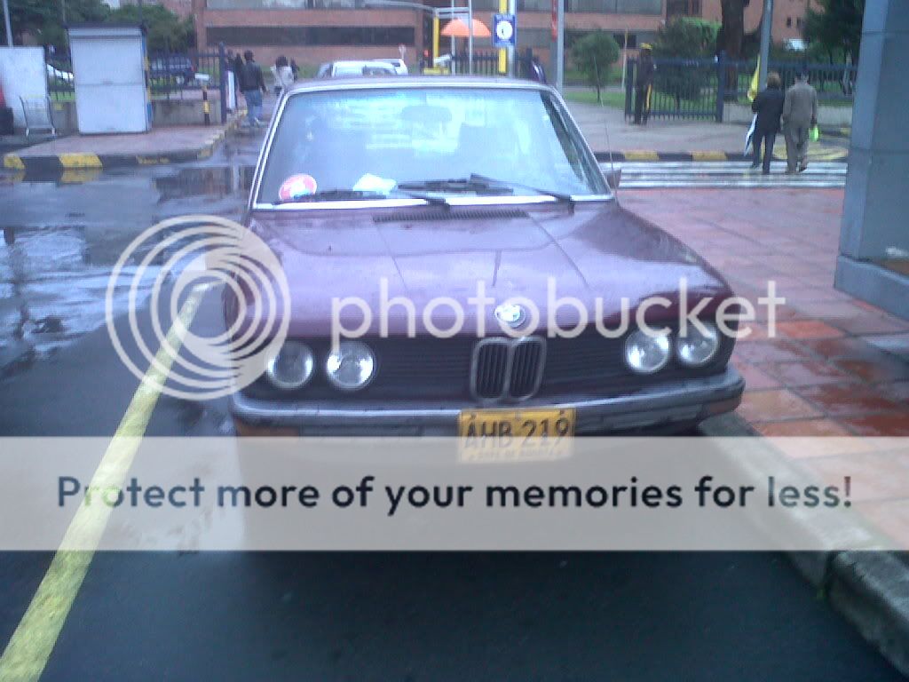 IMG00917-20111012-1723.jpg