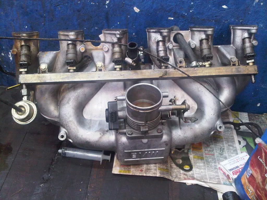 IMG00230-20110908-1225.jpg