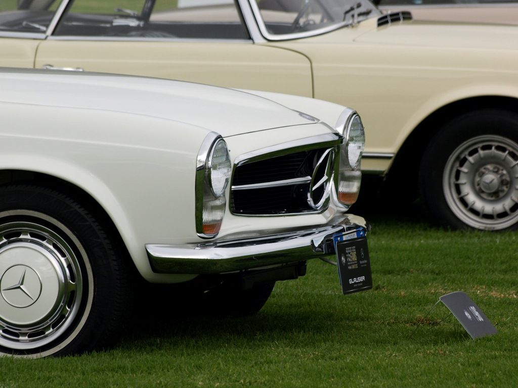 P9088715_zps5bcb84a3.jpg