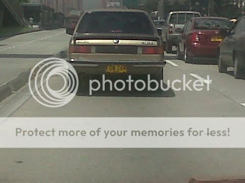 IMG00037-20110413-1018.jpg