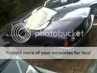 IMG00414-20110421-1237.jpg