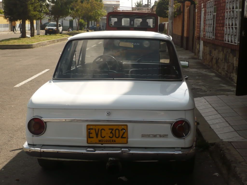P1050554.jpg