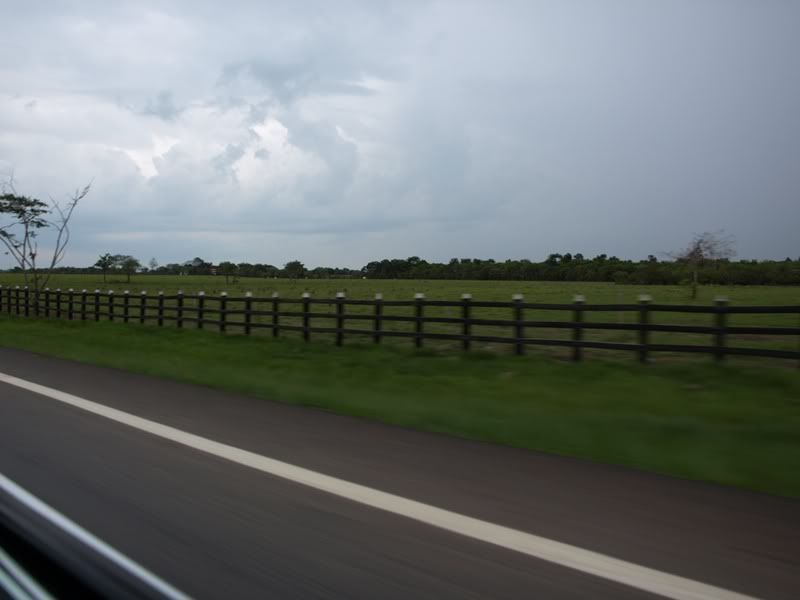 P3229648.jpg