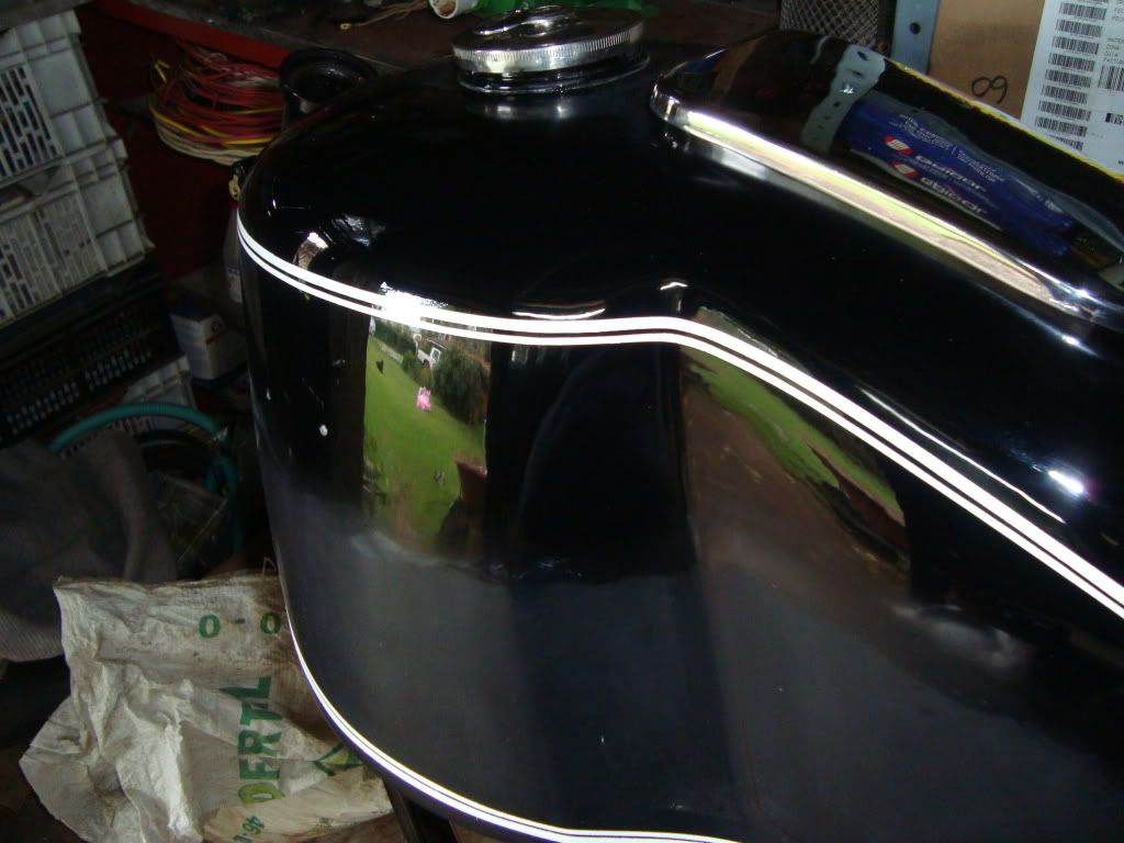 DSC01542.jpg
