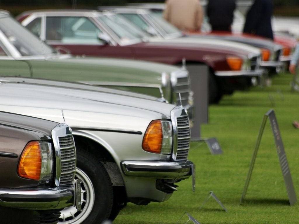 P9088695_zpsfc13596d.jpg