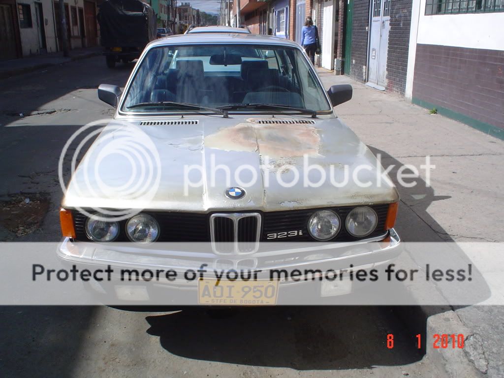 DSC06865.jpg