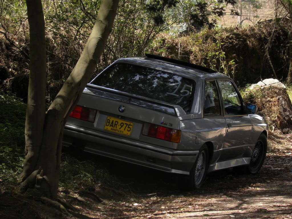 DSCN4438.jpg