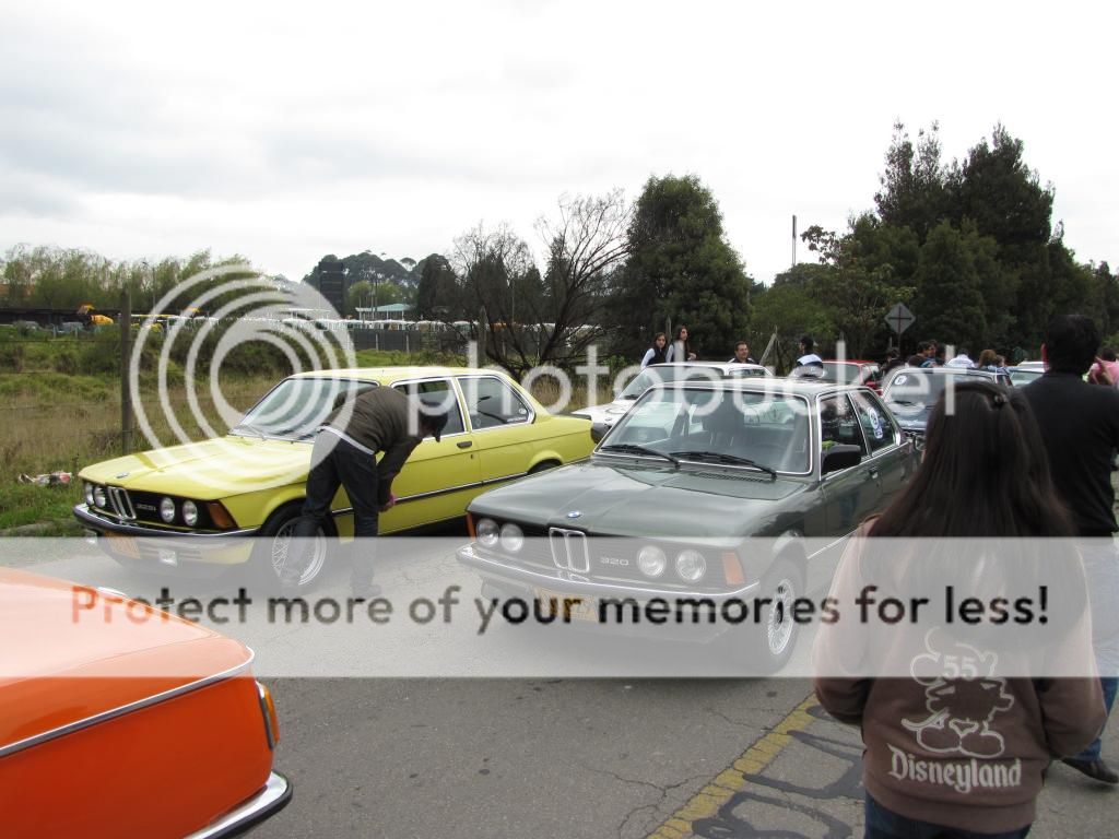 IMG_3041_zpsb1fe6ed3.jpg