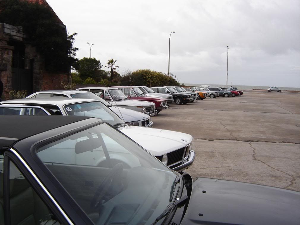 DSC08376.jpg