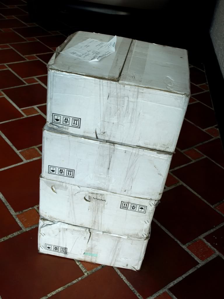 P4157545.jpg