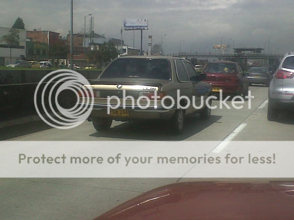 IMG00036-20110413-1018.jpg