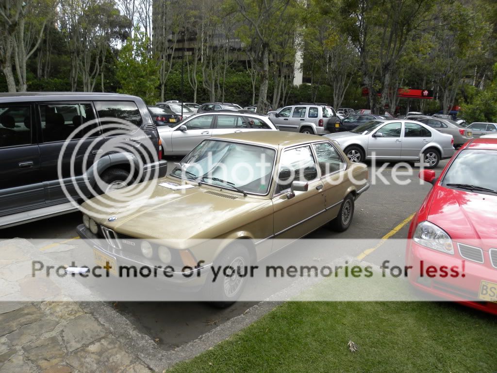 DSCN5387.jpg