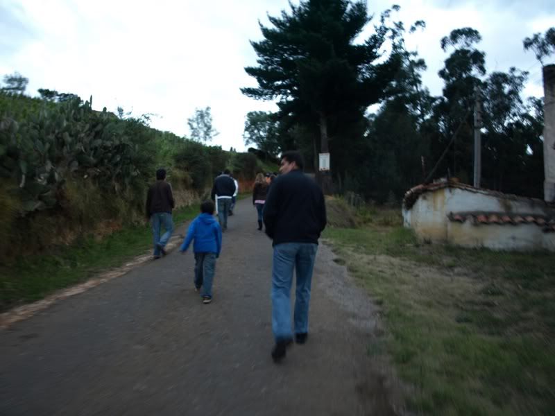 P8152348.jpg