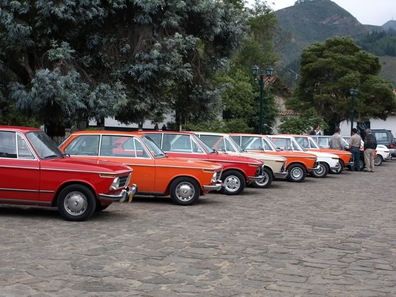 P1177821.jpg