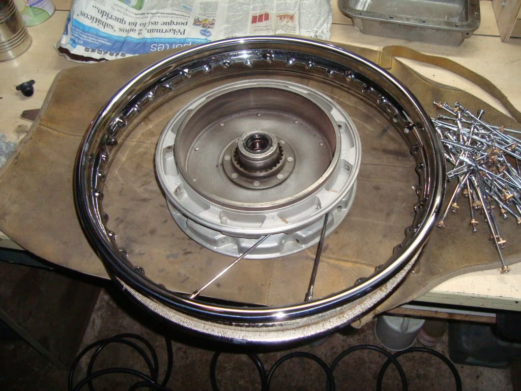 DSC01536.jpg