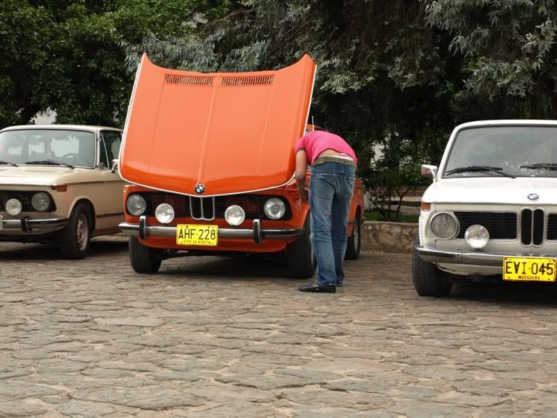 P1177805.jpg