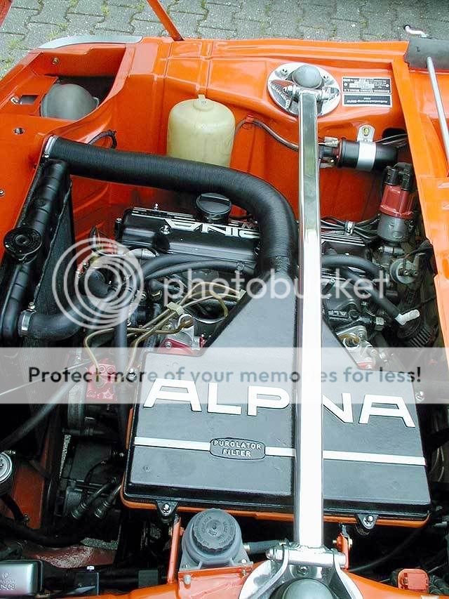 alpina11.jpg