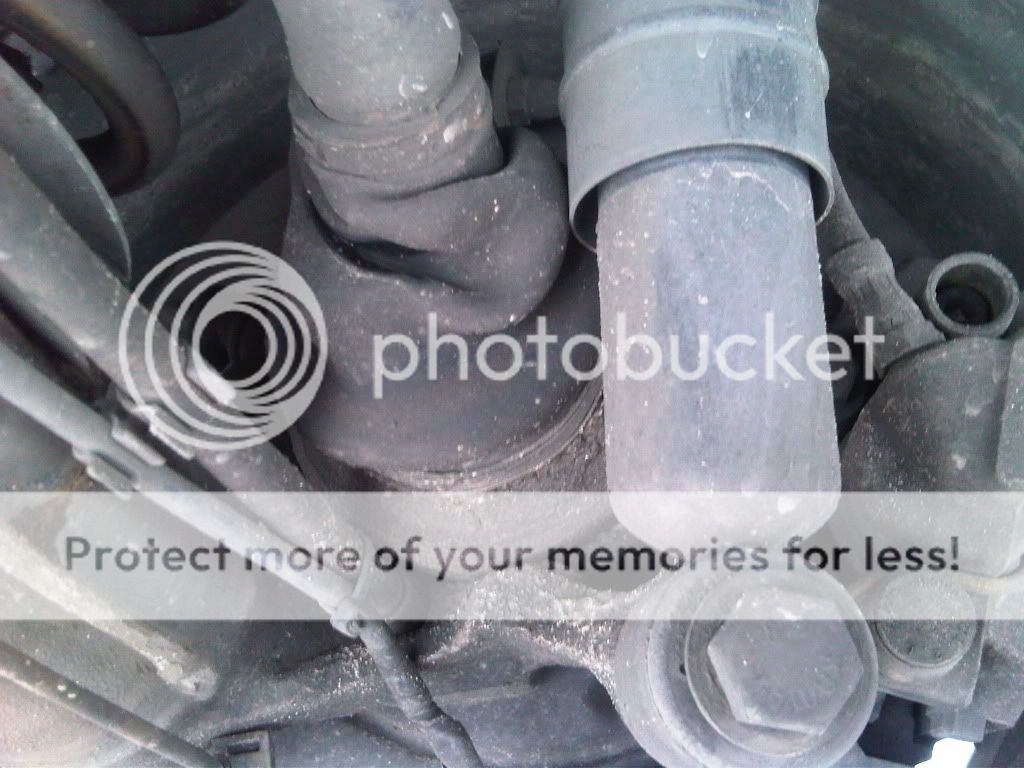 IMG00266-20100505-1135.jpg