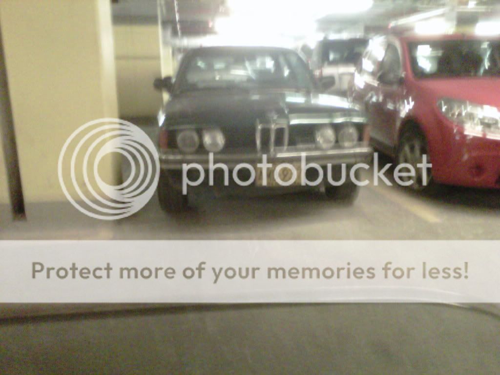 IMG-20121125-01391_zpse99187f6.jpg