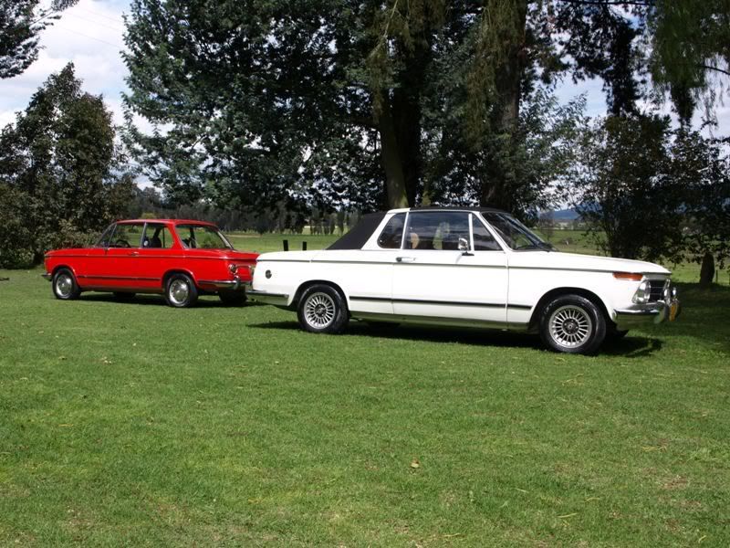 P1187987.jpg
