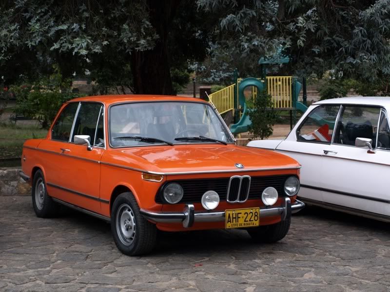 P1177831.jpg