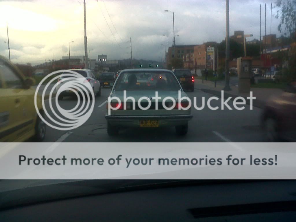 IMG00015-20101025-1725-1.jpg