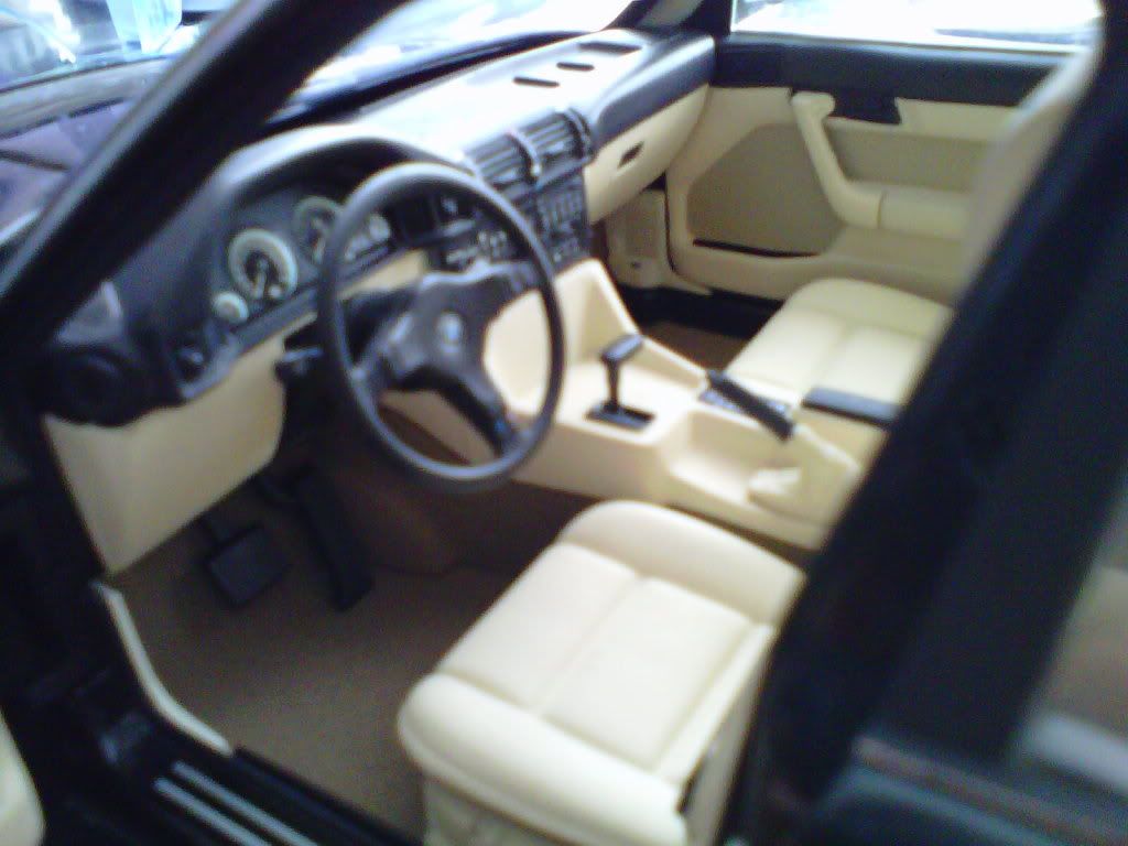17393e2d.jpg