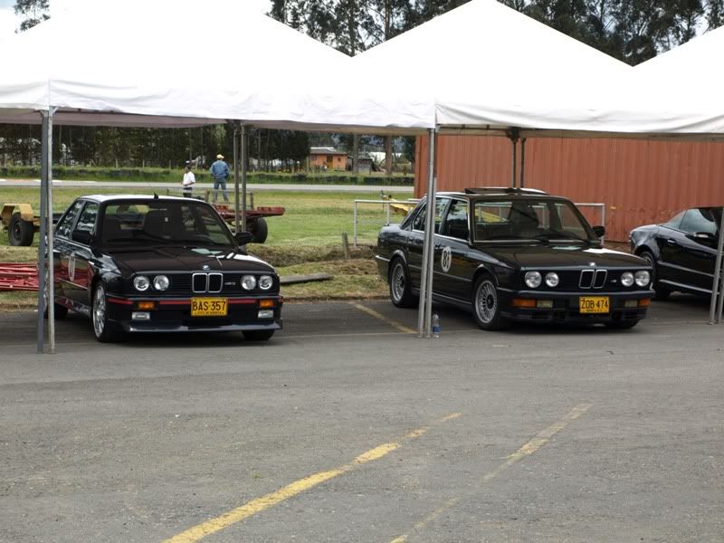 P8232844.jpg