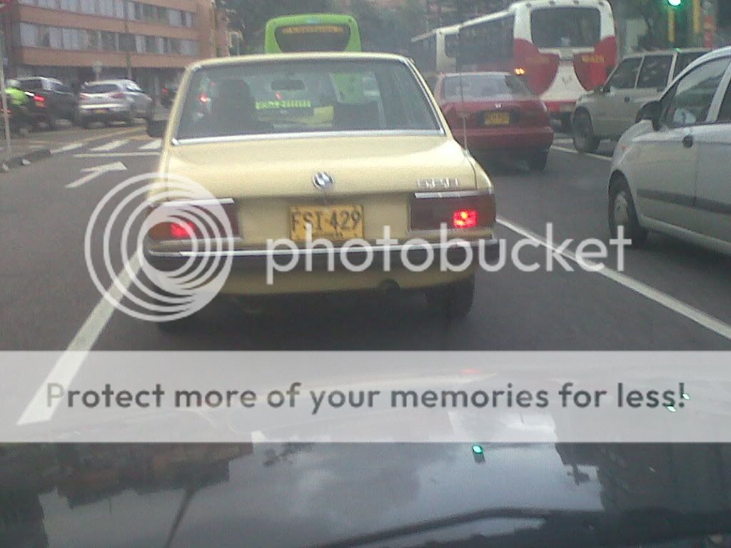IMG00443-20111003-1722.jpg