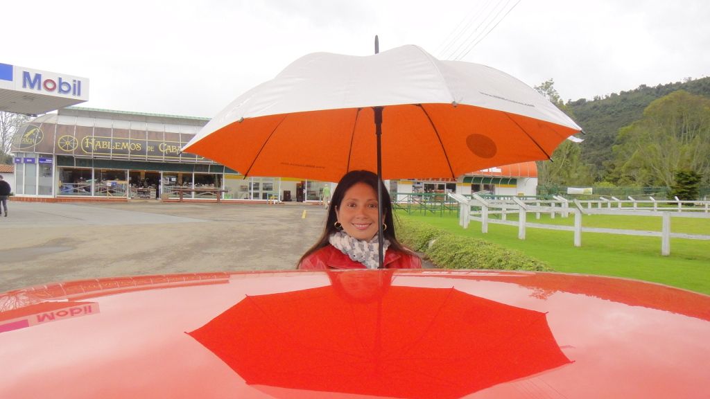 DSC04817.jpg
