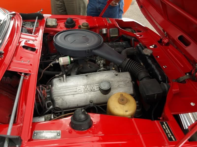 P1177763.jpg