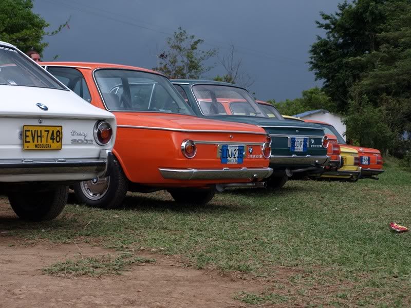 P3229681.jpg