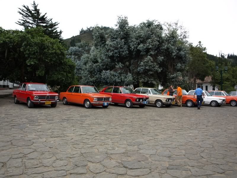 P1177818.jpg
