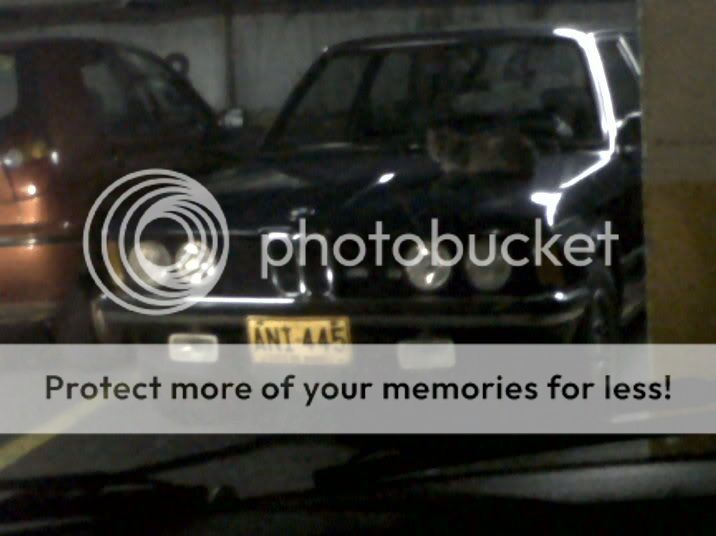IMG00072-20110504-0917.jpg